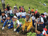 Reforestation Activity